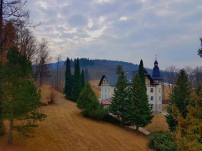 Гостиница Villa Grohmann, Липова Лазне
